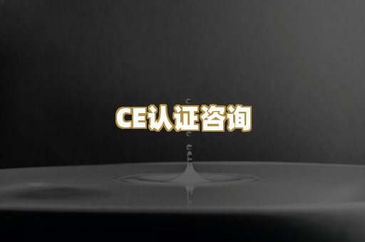 出口资料审核