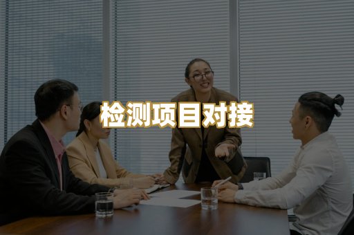 检测项目对接
